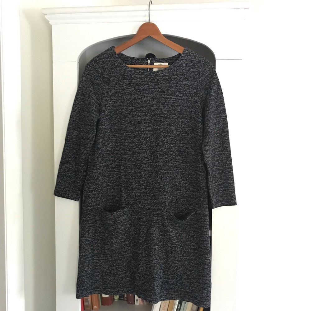 Anthropologie Lili’s Closet Pocket Tunic Dress